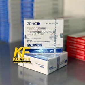 ديكا ١٠٠ فينيل سريعه ZPHC امبولات

nandrolone phenylpropionate 100 ZPHC