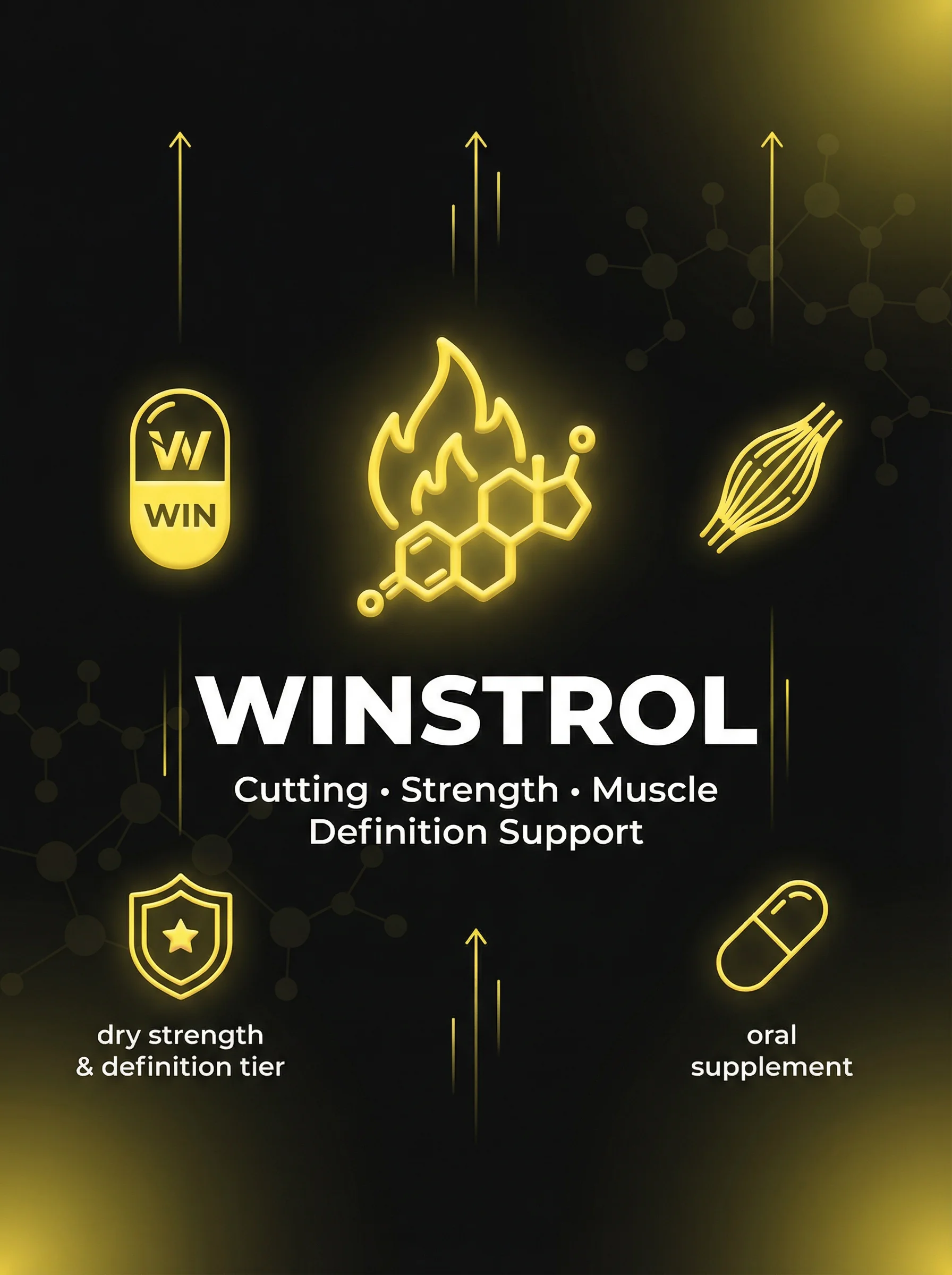 وينسترول / ستانازول